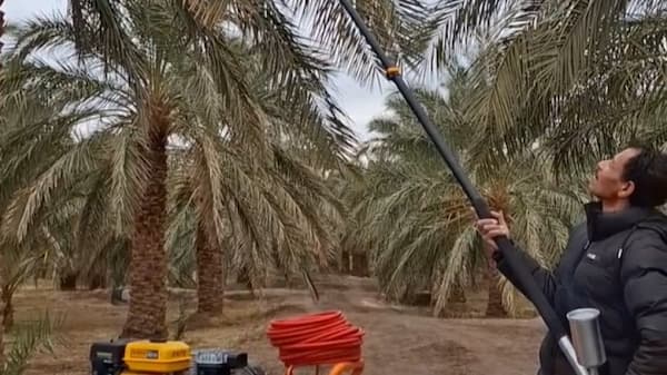تصویر 4 از قیمت خریددستگاه گرده افشانی خرما عمده به صرفه و ارزان